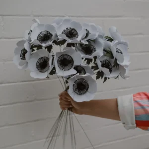 Anemone flower bunch